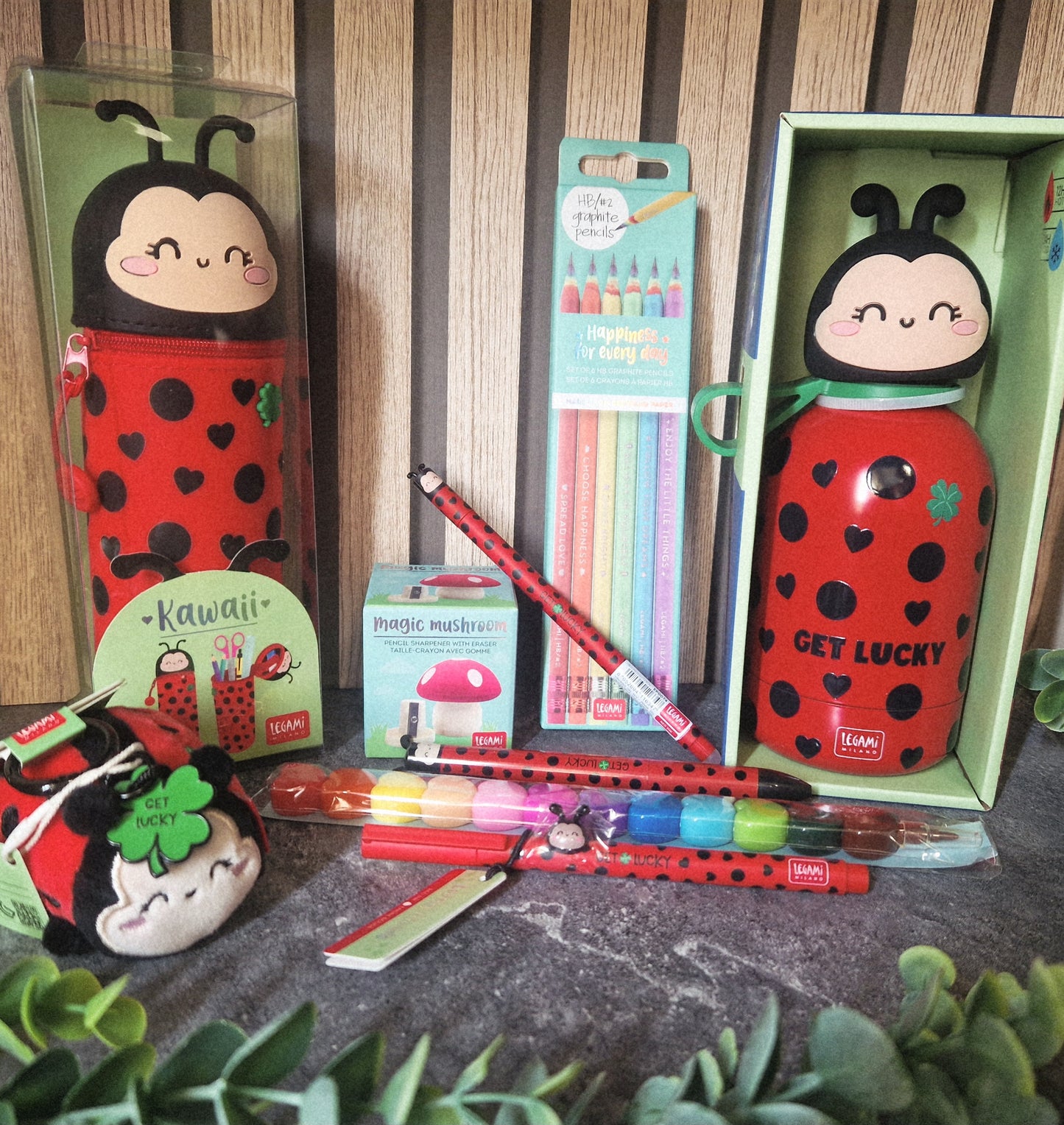 School Starter Set Ladybug