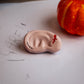 Legami Radiergummispender und 10 x "Ear" aser im Set