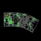 Legami Halloween Fenster Deko Bundle